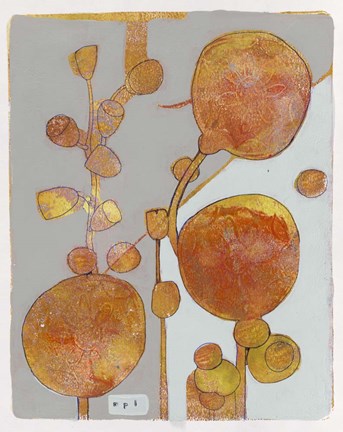 Framed Orange Seed Pods 3 Print