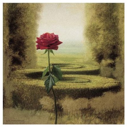 Framed Mystic Garden II Print