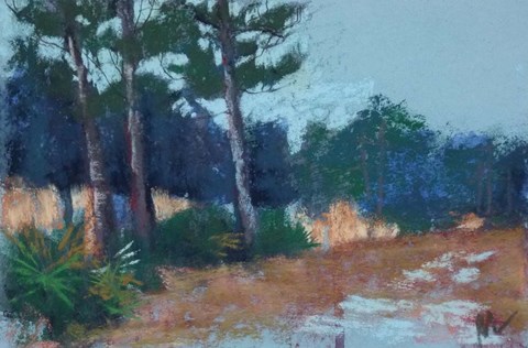 Framed Lean to the Left, Julington Durbin Preserve Series Print