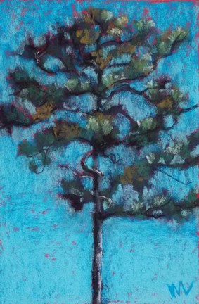 Framed Tall Pine, Blue Sky, Julington Durbin Preserve Series Print