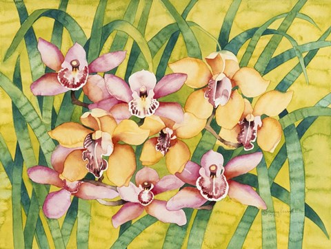 Framed Winter Orchids Print