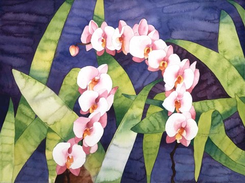 Framed Sacred Orchids Print
