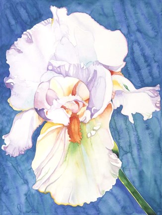 Framed White Iris Print