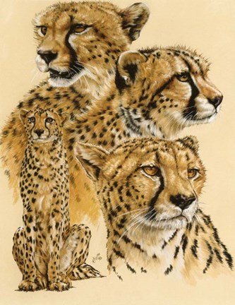 Framed Celerity Print