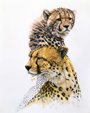 Framed Brother Of The Wind Print