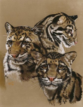 Framed Triumvarate Print