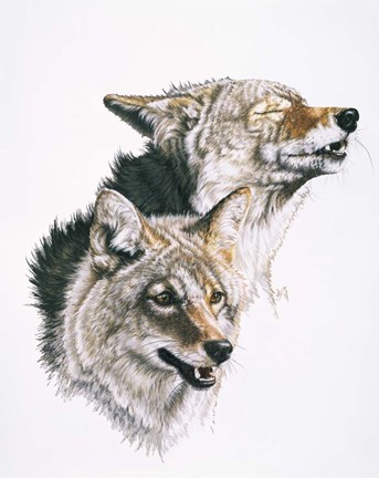 Framed Nature's Minstral Print