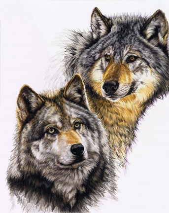 Framed Splendid Companions Print