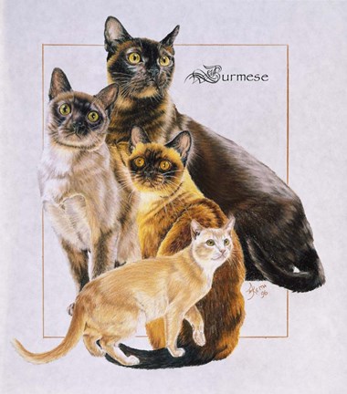 Framed Burmese Print