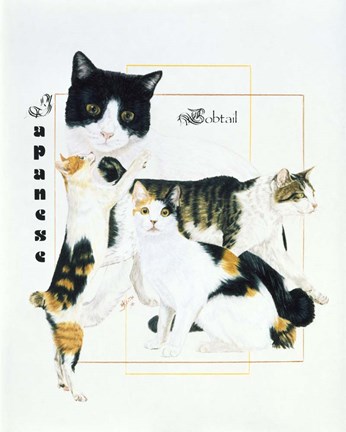 Framed Japanese Bobtail Print