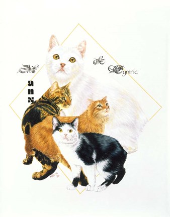 Framed Cymric And Manx Print