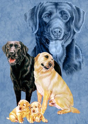 Framed Labrador Retrievers Print