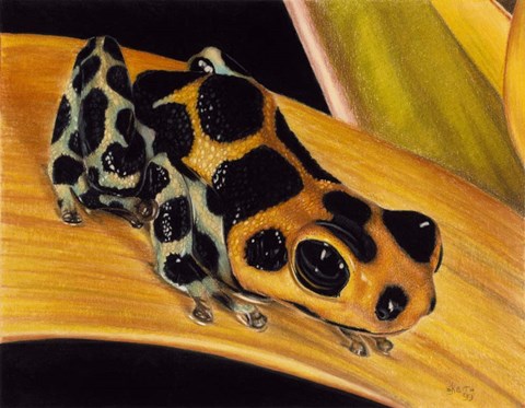 Framed Quiet Morning Print