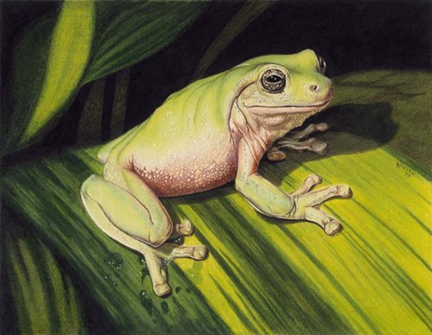 Framed Early Mornin' Dew Print