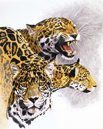 Framed Rain Forest Wrath Print