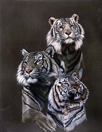 Framed Misty Alabaster Print