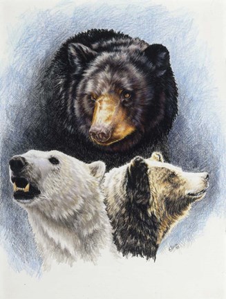 Framed Natures Image Print