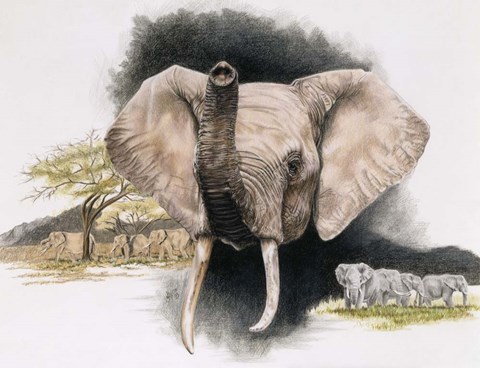 Framed Imperiled Print