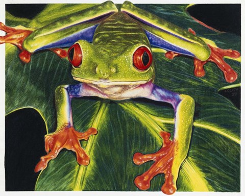 Framed Rainbow Splendor Print