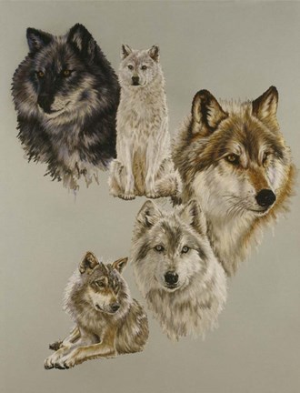 Framed Audacious Print