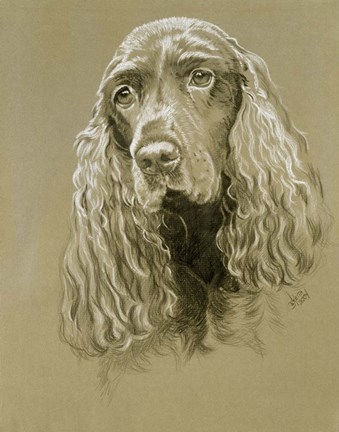 Framed Field Spaniel Print