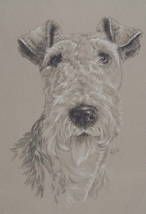 Framed Wire Fox Terrier Print