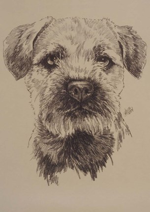 Framed Border Terrier Print