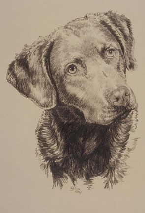 Framed Chessapeake Bay Retriever Print