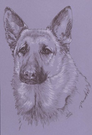 Framed German Shepherd 1 Print
