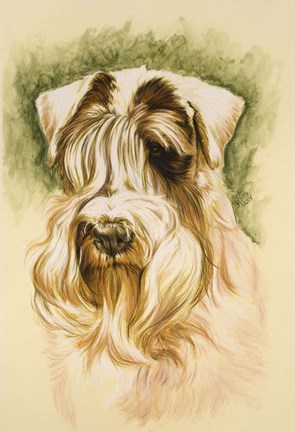 Framed Sealyham Terrier Print