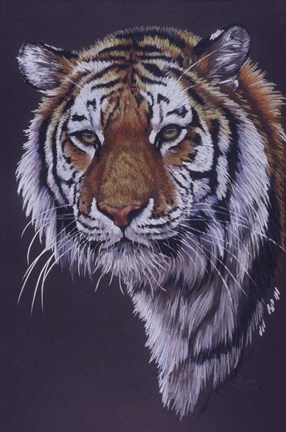 Framed Desperado Print