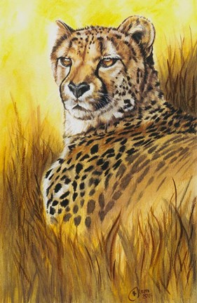 Framed Expeditions Print