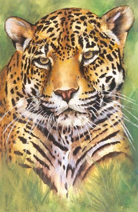 Framed Glimmer Print