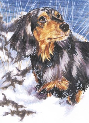 Framed Dachsund In Snow Print