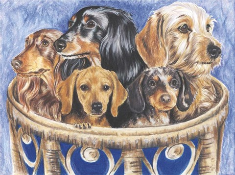 Framed Dachsund In A Basket Print