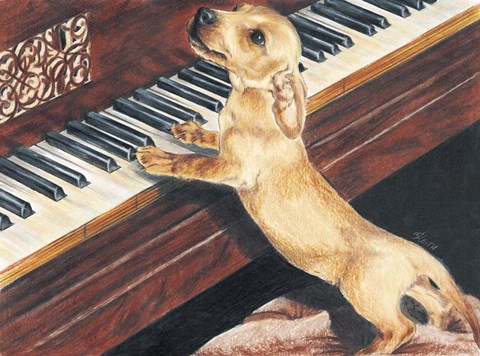 Framed Dachsund Playing Piano Print