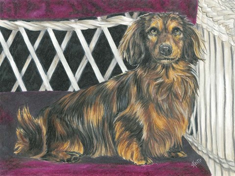 Framed Dachsund In Wicker Chair Print