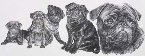 Framed Growing Up Pug Print