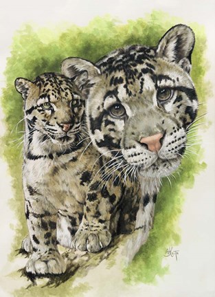 Framed Sovereignty Print