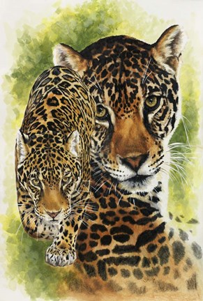 Framed Compelling Print