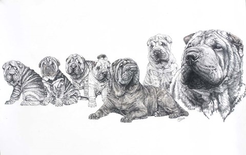Framed Growing Up Shar Pei Print