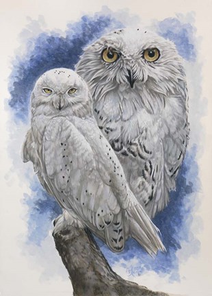 Framed Radiant Print