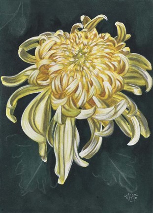 Framed Cheerfulness Print