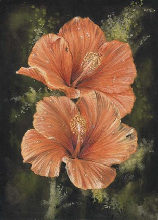 Framed Day Break Print