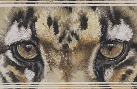 Framed Eye-Catching Clouded Leopard Print