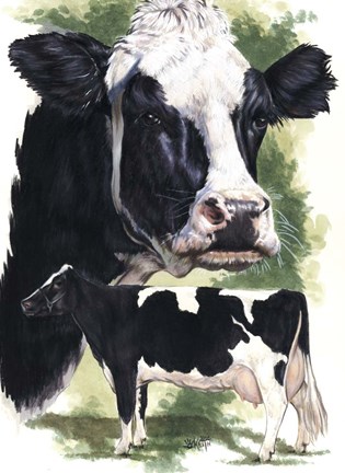 Framed Holstein Cow Print