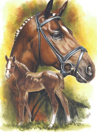 Framed Trakehner Print