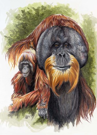 Framed Orangutan Soul Print