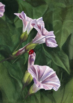 Framed Morning Print