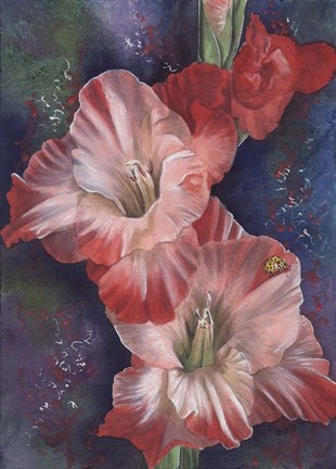 Framed Mid Day Print